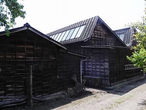 20110518 kiryu (4).jpg